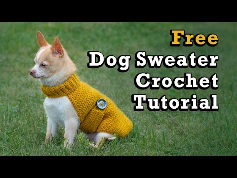 Crochet Dog Sweater Easy