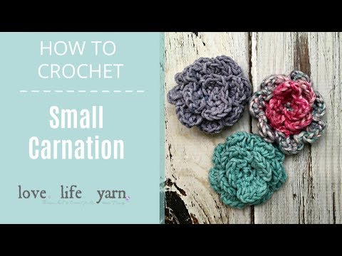 How to Crochet: Small Carnation